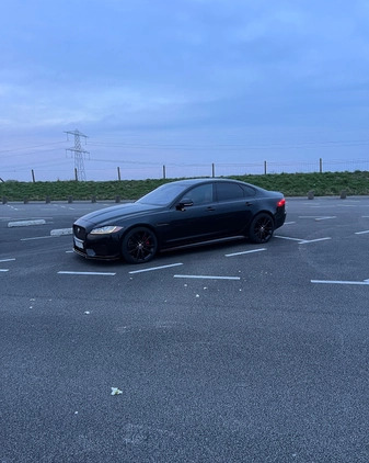 Jaguar XF cena 79900 przebieg: 115000, rok produkcji 2016 z Siemiatycze małe 301